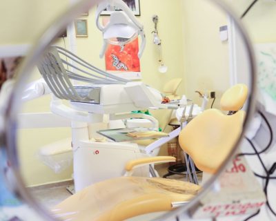 IMG_7799-1024×683-2