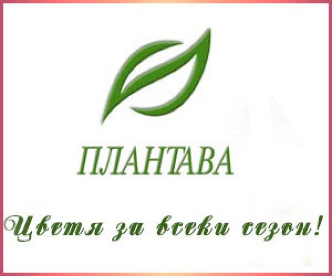 Оранжерия Плантава – гр.София